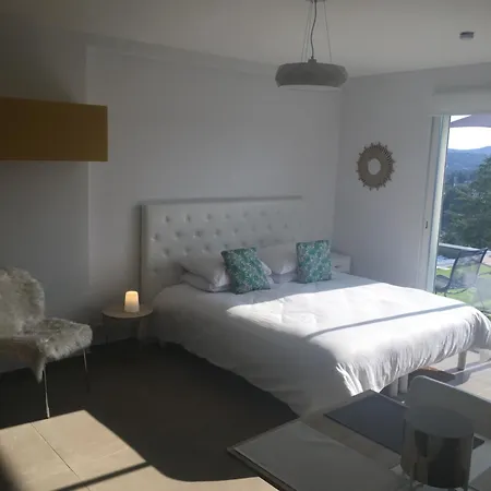Guest house Twenty Rent Cagnes-sur-Mer